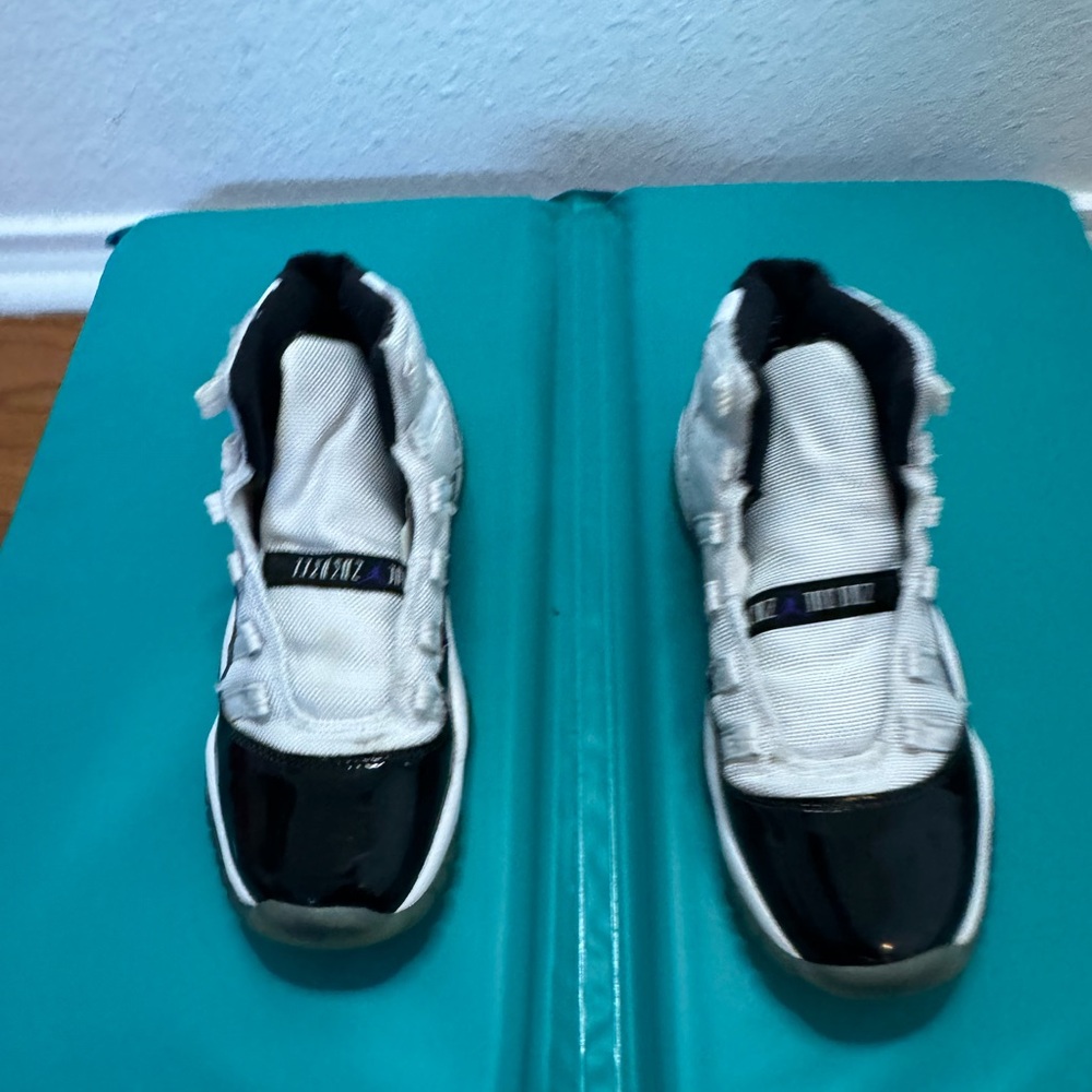 Jordan 11 concords
